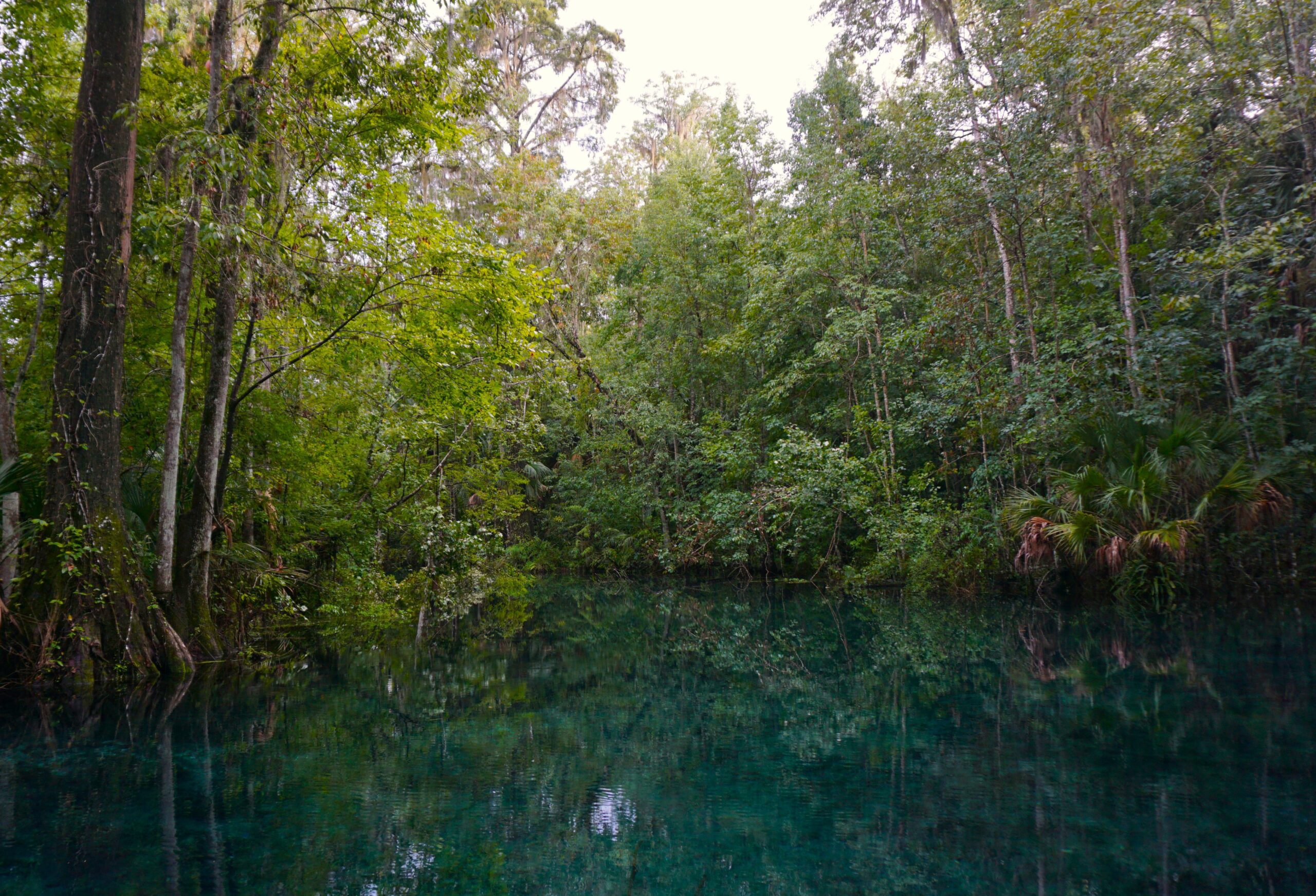 Florida - Silver Springs
