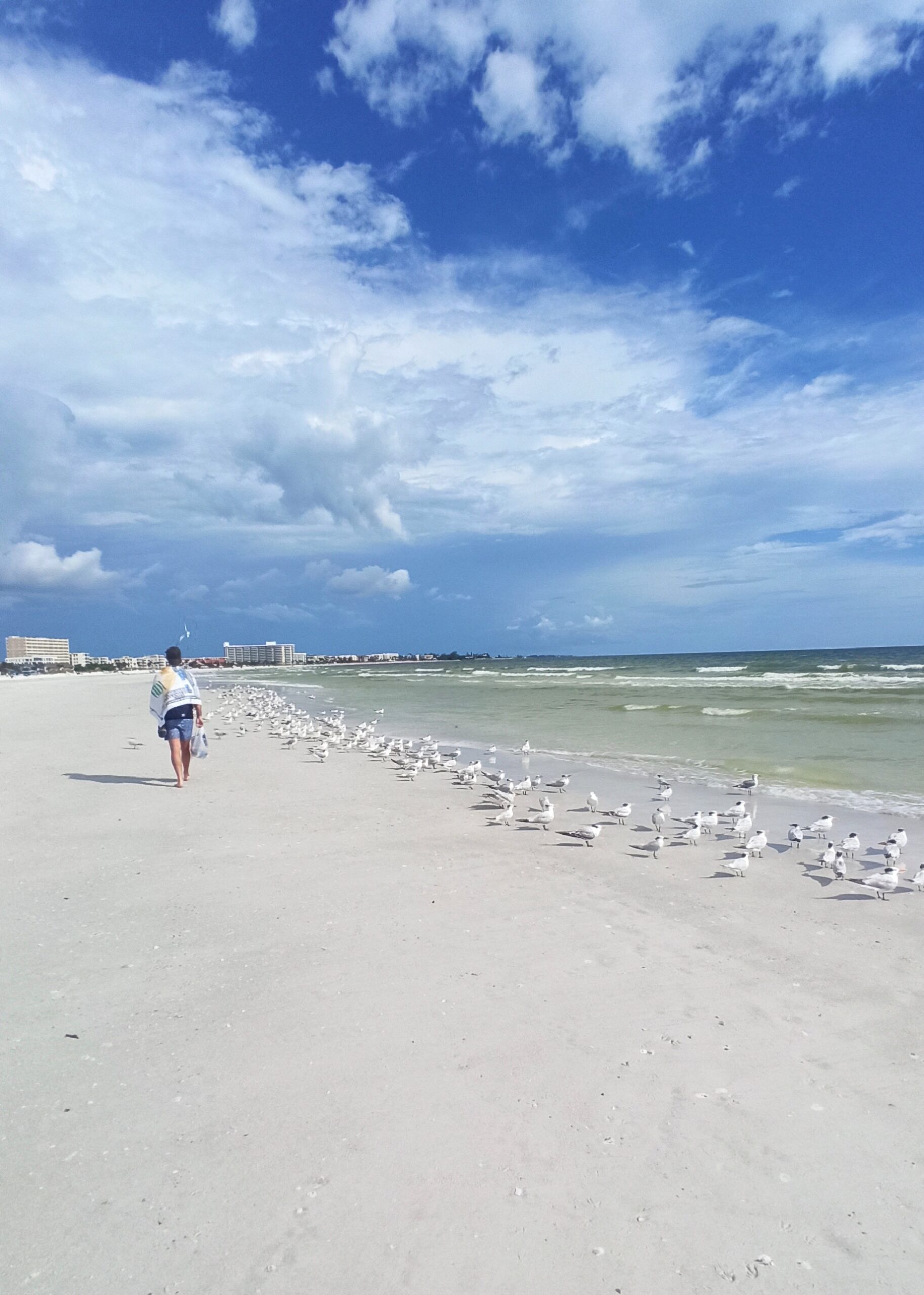 Florida - West Beach
