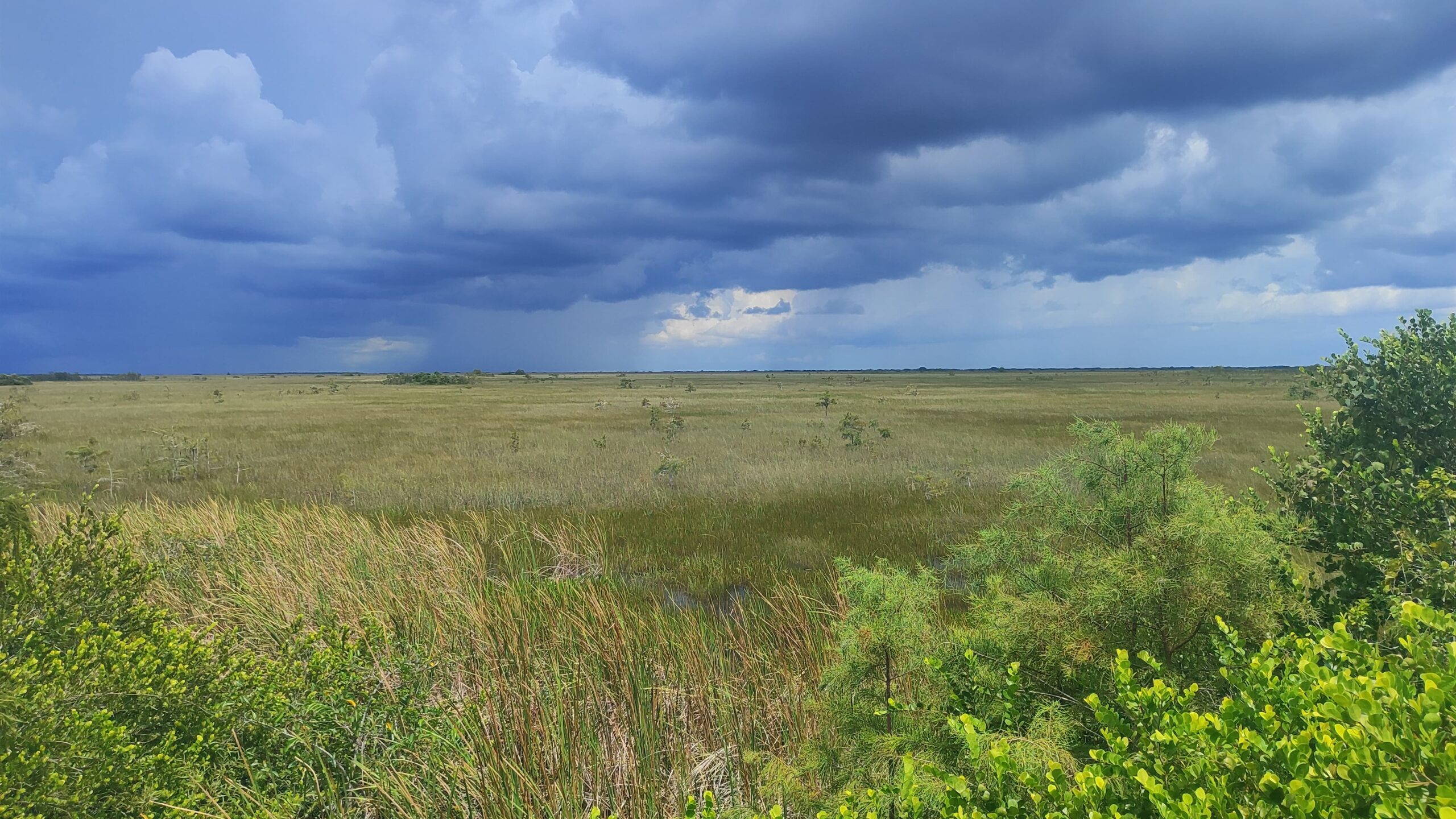 IMG-20240901-WA0287